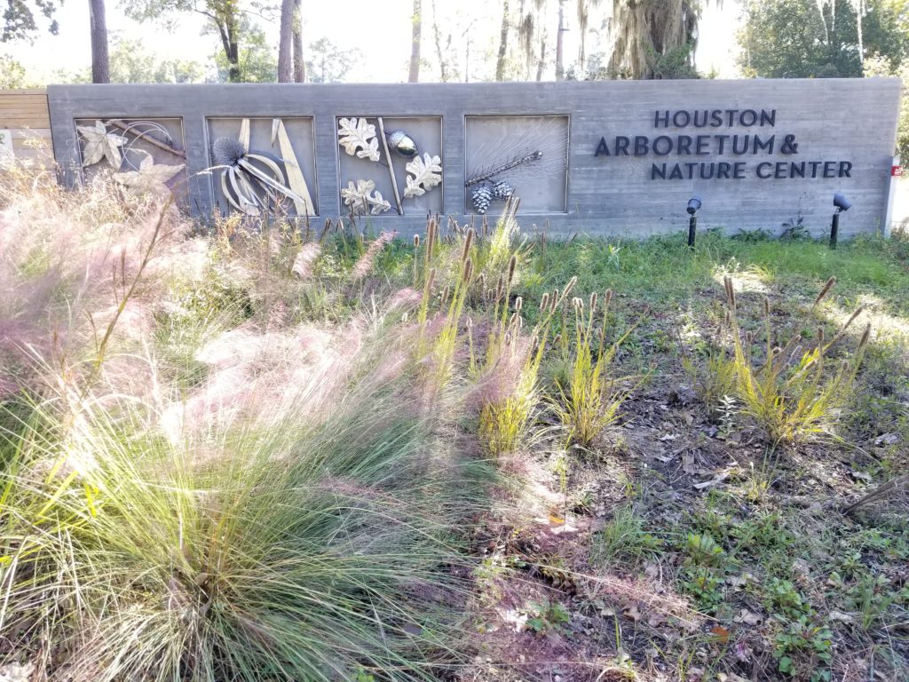 Houston Arboretum 4 Seasons of Winter