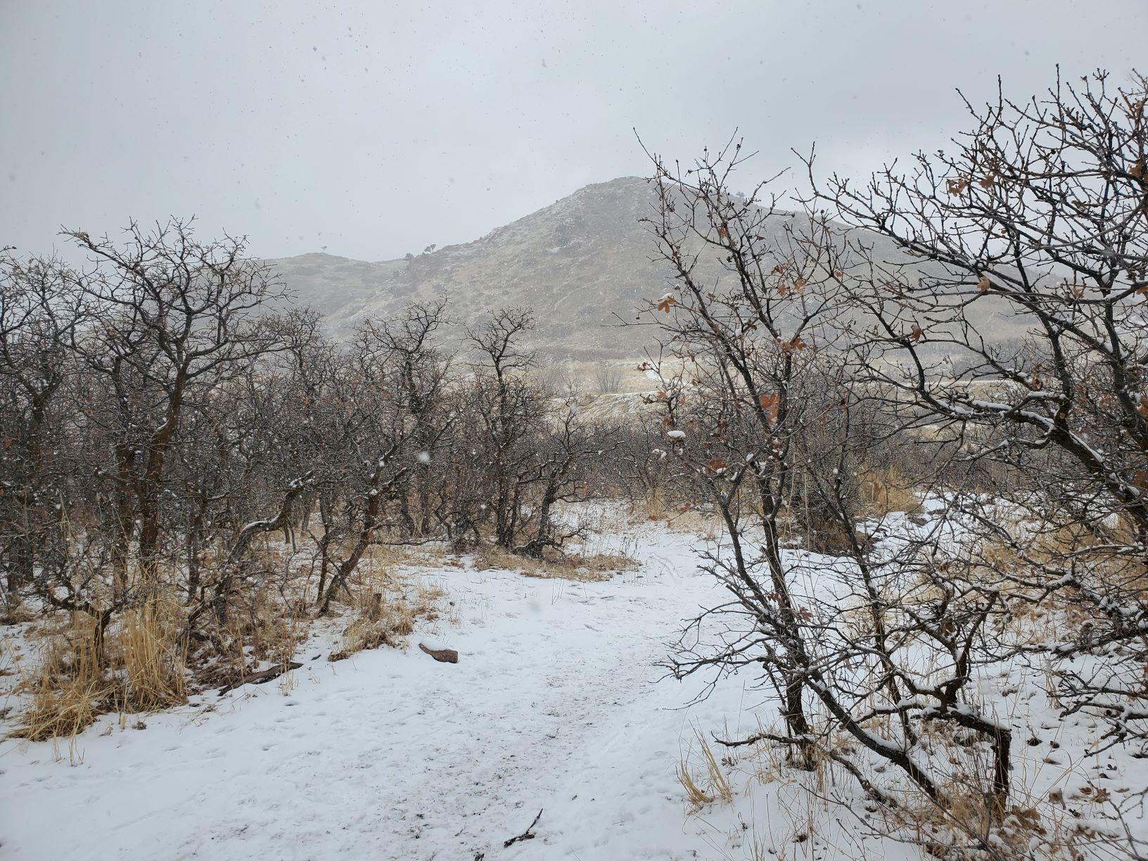 living room lookout trail