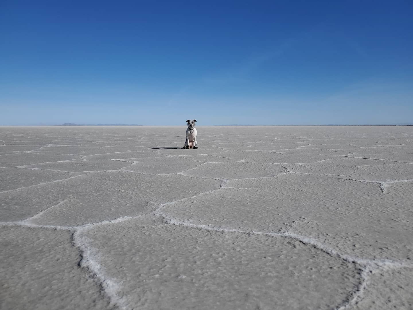 Bonneville Salt Flats - 4 Seasons Of Winter