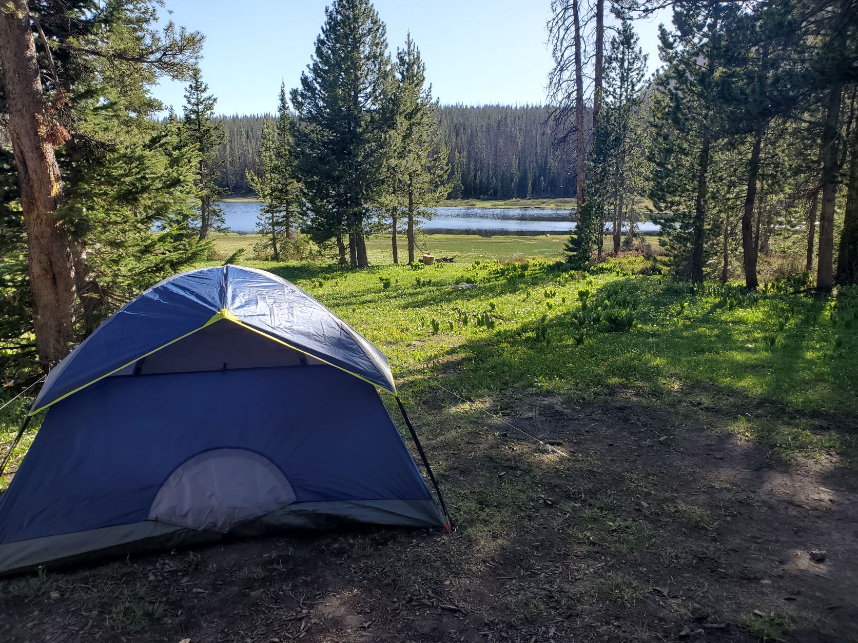 uinta national forest camping        
        <figure class=