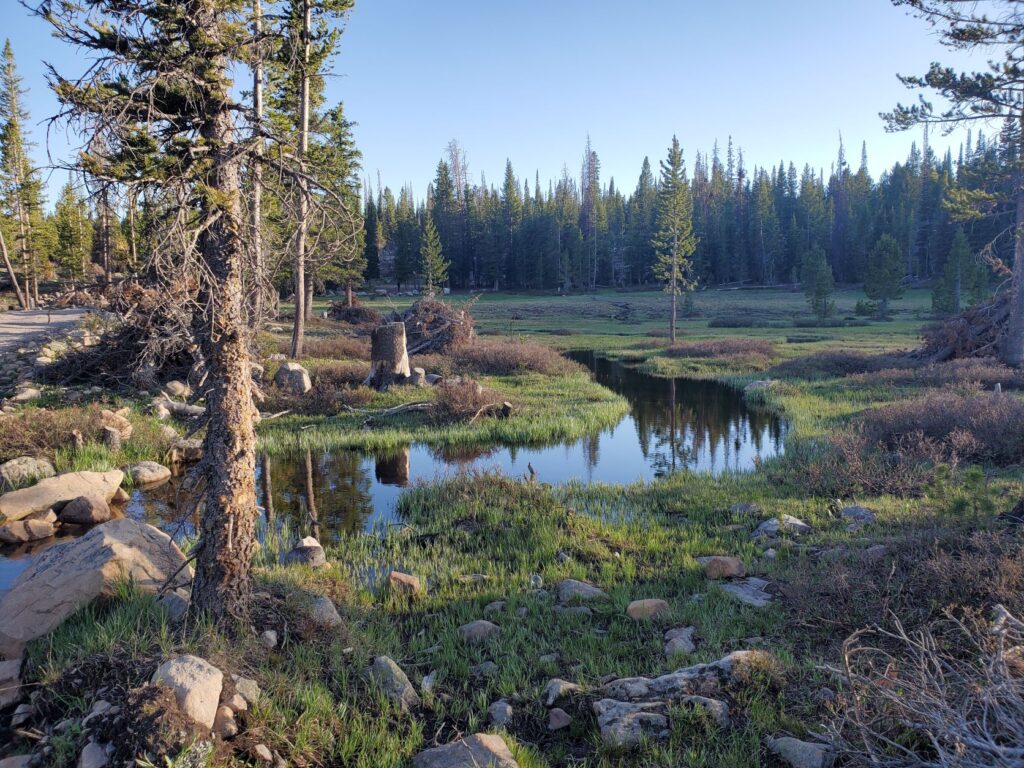 Uinta National Forest Camping And Hiking 4 Seasons Of Winter   20210610 194638 1024x768 