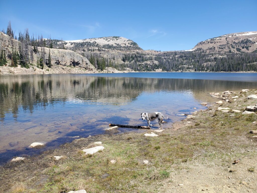 Uinta National Forest Camping and Hiking - 4 Seasons of Winter